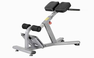 山東室內(nèi)運(yùn)動(dòng)器材產(chǎn)業(yè)發(fā)展概覽 優(yōu)質(zhì)制造商與市場(chǎng)趨勢(shì)分析