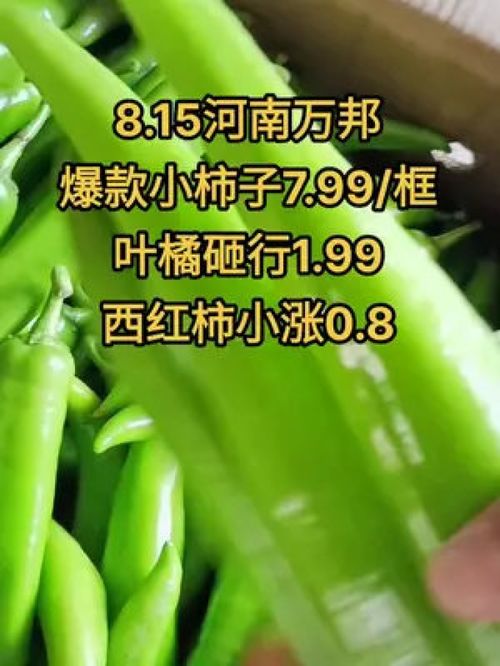 農(nóng)產(chǎn)品市場(chǎng)行情持續(xù)低迷，水果蔬菜優(yōu)質(zhì)產(chǎn)品如何破局？