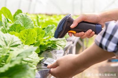 農(nóng)產(chǎn)品溯源解決方案 從田間到餐桌的信任橋梁